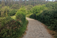 26.05.2019 08:52:03 