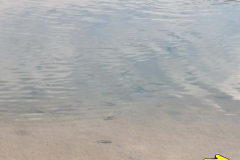 26.05.2019 09:14:16 