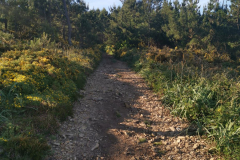 26.05.2019 09:31:33 