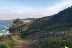26.05.2019 09:31:39 