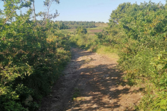 26.05.2019 09:40:58 
