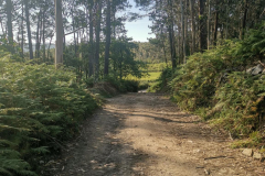 26.05.2019 09:46:58 