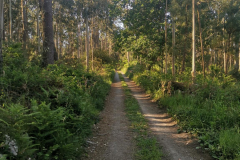 26.05.2019 09:52:46 