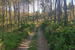 26.05.2019 09:52:59 