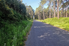 26.05.2019 10:35:13 