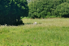 26.05.2019 11:13:08 