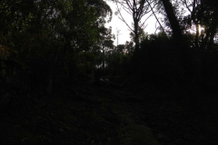20200106_141230