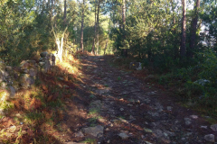 20200107_111647