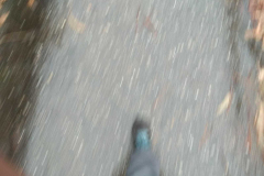 20200109_094300