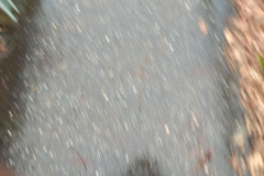 20200109_094303