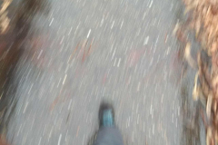 20200109_094305