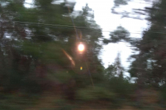 20200117_150645