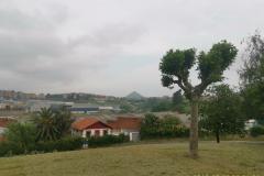 2022-05-20_09h04m24