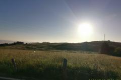 2022-05-29_07h50m02