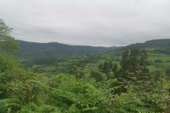2022-05-30_12h02m54