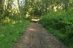 2022-06-07_09h03m02