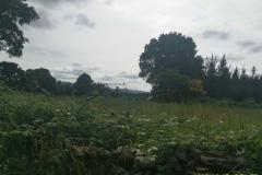2022-06-07_17h54m57