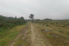 2022-06-08_09h08m57