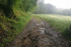 2022-06-08_14h58m34