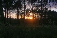 2022-06-13_07h12m39