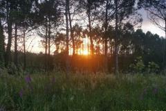 2022-06-13_07h12m42
