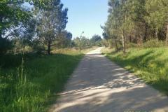 2022-06-13_10h01m47