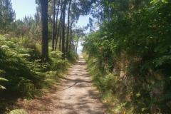 2022-06-13_12h55m41