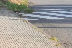 2022-06-13_20h38m31