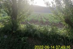 2022-06-14_07h49m16