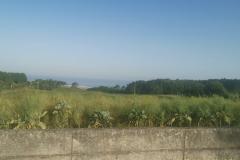 2022-06-14_08h46m51