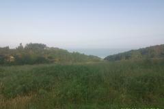 2022-06-14_08h52m51