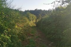 2022-06-14_09h20m36