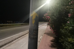20231006_072606