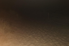 20231008_072545