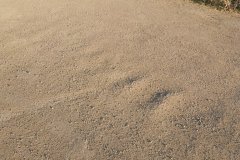 20231010_092137