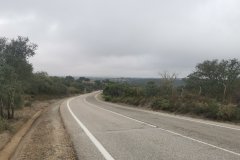 20231016_094739
