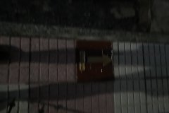 20231022_080656