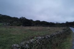 20231029_074727