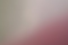 20231029_110234