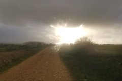 20231105_172454