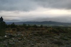 20231110_083739