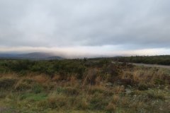 20231110_085149