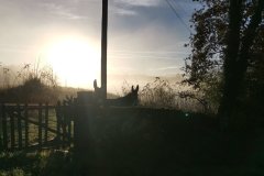 20231115_091336